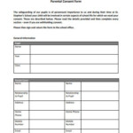 18 School Consent Form Templates In PDF DOC Free Premium Templates