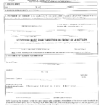 2021 Passport Consent Form Fillable Printable PDF Forms Handypdf