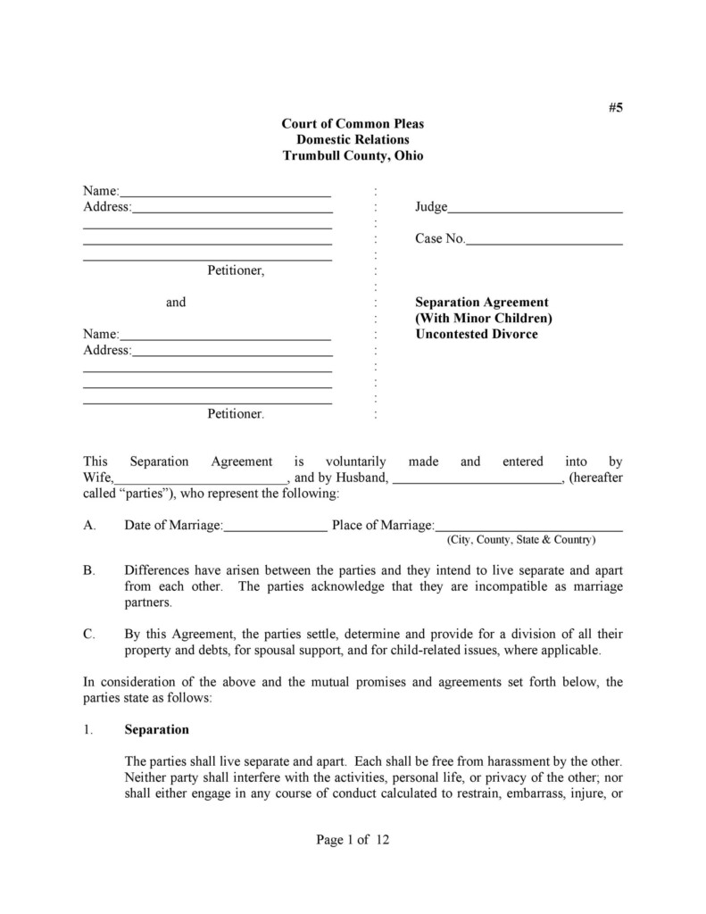 43 Official Separation Agreement Templates Letters Forms TemplateLab