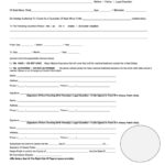 Affidavit Of Parental Consent Form For Travel Outside The United