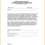 Best 25 Medical Consent Form Children Ideas On Pinterest Emergency