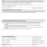 Child Medical Consent Form 2 Free Templates In PDF Word Excel Download