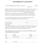 Emergency Medical Authorization Form In Word And Pdf Formats