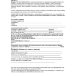 Fillable Emergency Medical Authorization Form For Teens Under 19