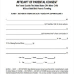 FREE 5 Consent Affidavit Forms In MS Word PDF