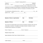 Grandparents Medical Consent Form Minor Child EForms Free