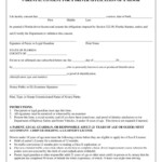 Parental Authorization Form For Minors Indian Visa Sample