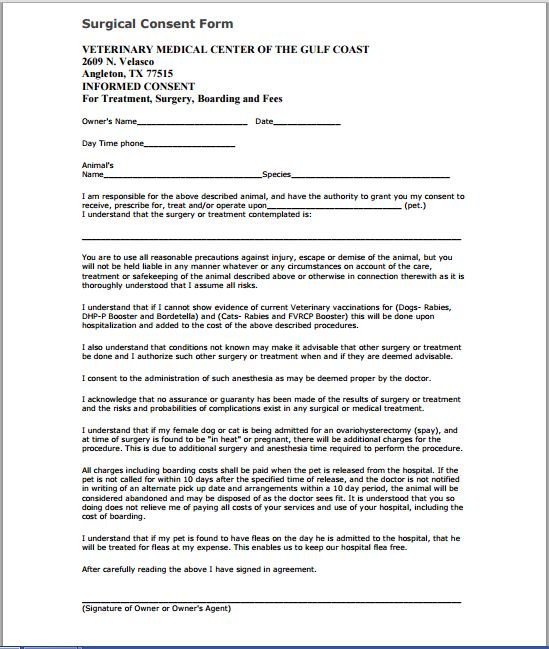 Sample Medical Consent Form Printable Medical Forms Letters Sheets