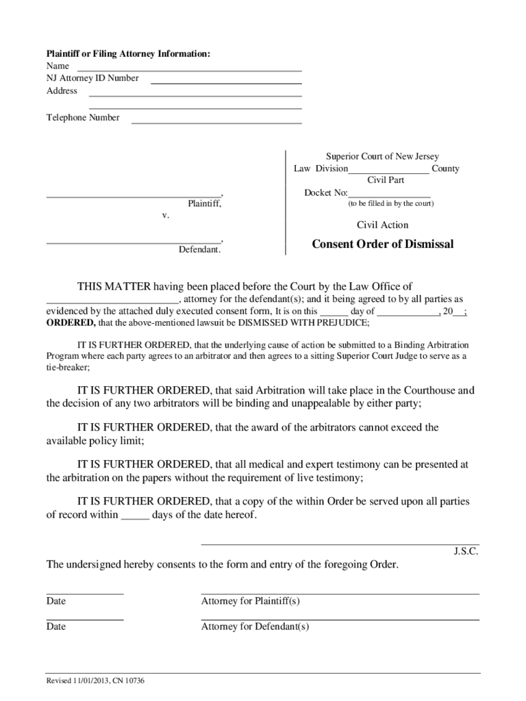 2021 Consent Order Form Fillable Printable PDF Forms Handypdf