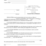 2021 Consent Order Form Fillable Printable PDF Forms Handypdf