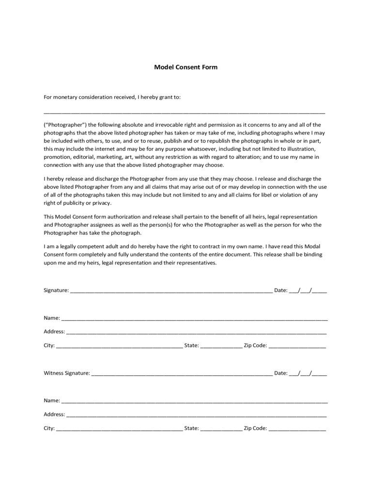 2021 Model Consent Form Fillable Printable PDF Forms Handypdf