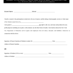 2021 Video Consent Form Fillable Printable PDF Forms Handypdf