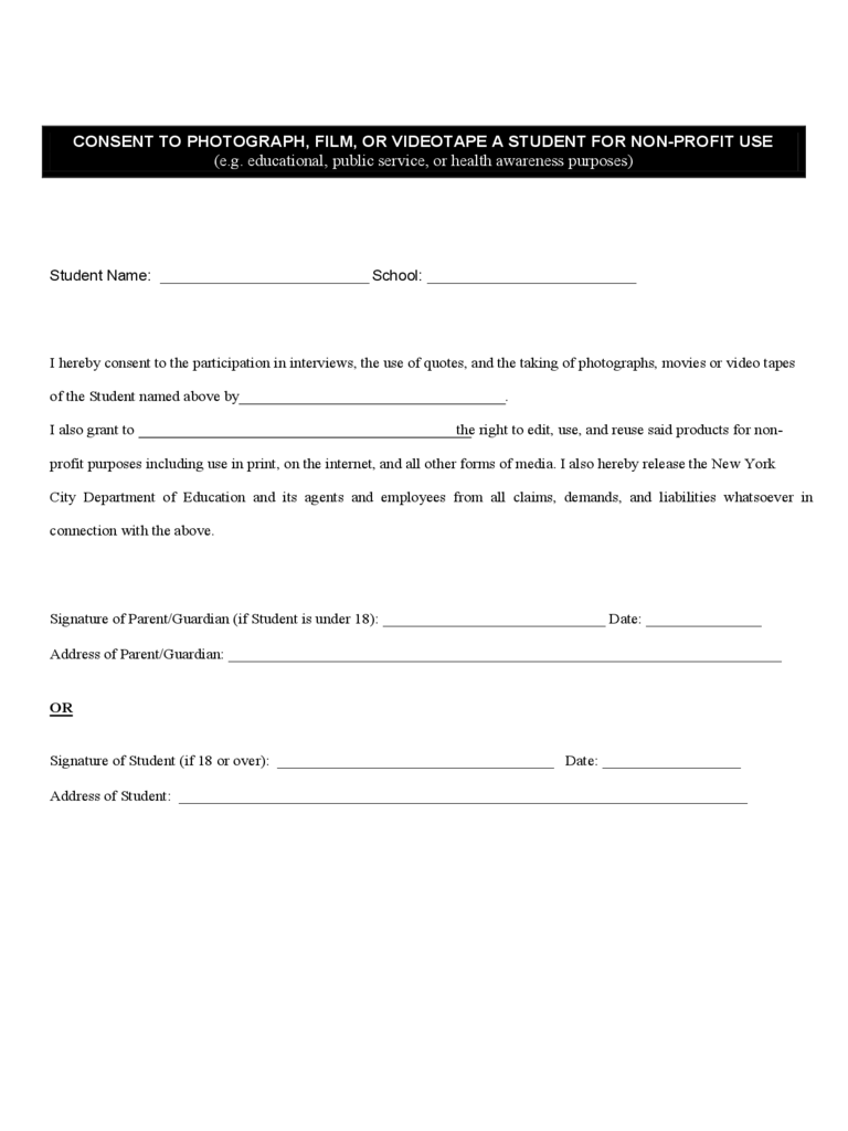 2021 Video Consent Form Fillable Printable PDF Forms Handypdf