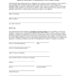 9 Medical Treatment Authorization And Consent Forms For Adults Free