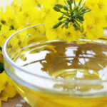 Canola Oil May Worsen Memory