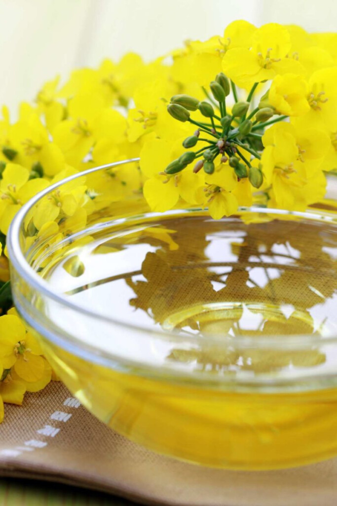 Canola Oil May Worsen Memory