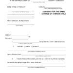 Form DC 6 11 3 Download Fillable PDF Or Fill Online Consent For The