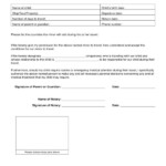 FREE 10 Minor Travel Consent Forms In PDF MS Word