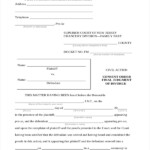 FREE 17 Sample Divorce Forms In PDF MS Word