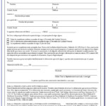 Free Dental Consent Forms In Spanish Form Resume Examples jNDAwE4O6x