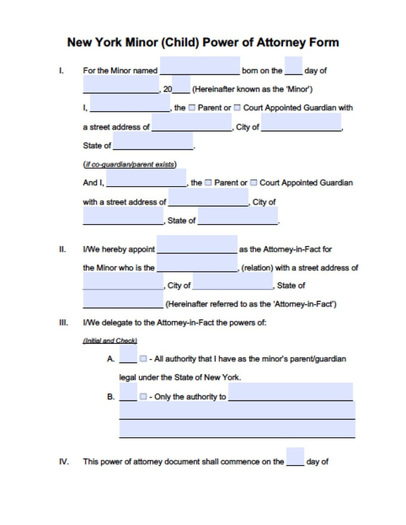 New York Minor Child Power Of Attorney Form Power Of Attorney Power 