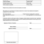 Single Parent Travel Consent Form Sample Letter Templates Travel