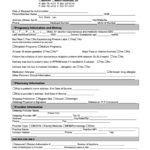 Universal 17 P Authorization Form Printable Pdf Download