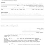 10 Travel Consent Form Templates PDF DOCX Free Premium Templates