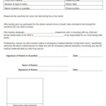 10 Travel Consent Form Templates PDF DOCX Free Premium Templates