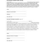 2021 Photography Consent Form Fillable Printable PDF Forms Handypdf