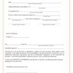 21 Child Medical Consent Forms For Travel Free To Edit Download