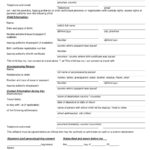 9 Affidavit Of Consent Examples PDF Examples