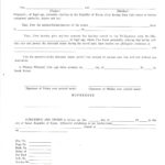 9 Affidavit Of Consent Examples PDF Examples