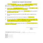 9 Affidavit Of Consent Examples PDF Examples