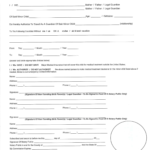 Affidavit For Parental Consent Form Free Download