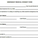 Albamv Medical Treatment Child Medical Consent Form Notarized