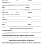 Child Emergency Form Fill Online Printable Fillable Blank PdfFiller