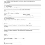 Child Travel Consent Form FREE Download Child Travel Consent Form