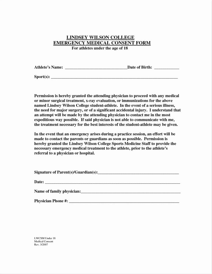 Child Travel Consent Form Template Unique 12 13 Consent Letter From 