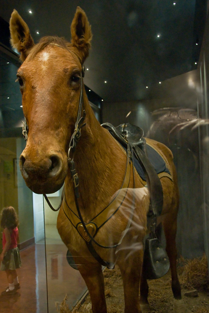 Comanche Natural History Museum University Of Kansas Flickr