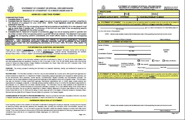 Ds 3053 Form Pdf Fillable