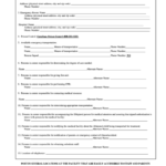 Emergency Medical Care Plan Template Printable Pdf Download