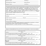 First Aid And Emergency Medical Care Consent Form Printable Pdf Download