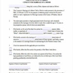 FREE 11 Parental Consent Forms In PDF Ms Word Excel