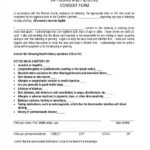 FREE 11 Sample Tattoo Consent Forms In PDF Word