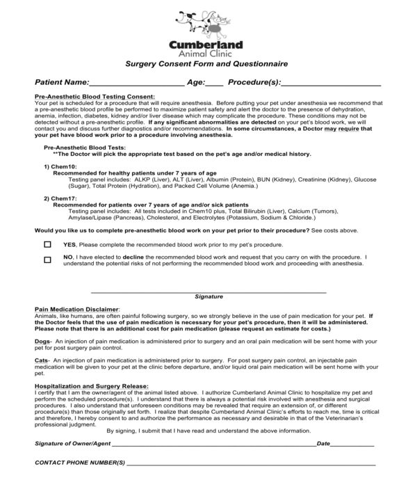 Minor Procedure Consent Form Template 2022 Printable Consent Form 2022 2317