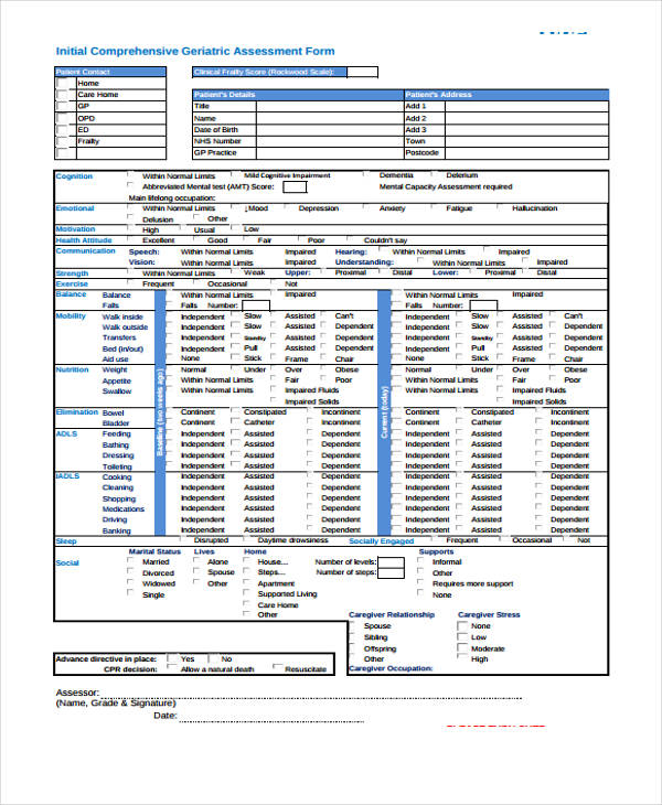 FREE 22 Nursing Assessment Forms In PDF