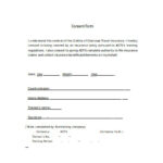 FREE 30 Sample Travel Consent Forms In PDF Ms Word