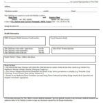 FREE 30 Sample Travel Consent Forms In PDF Ms Word