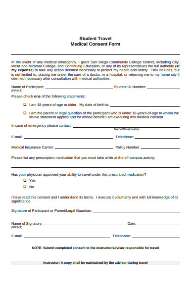 FREE 30 Sample Travel Consent Forms In PDF Ms Word